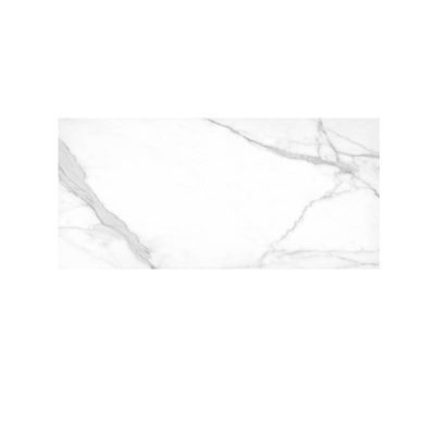 Плочки Argenta Tholos White 60x120