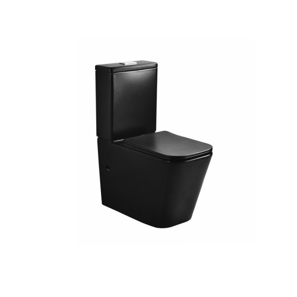 Fico Моноблок Damir 2920АМB-PTRAP